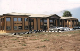 Our Services